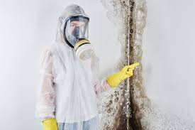 Best Emergency Mold Remediation  in Kings Grant, NC